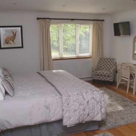 Bradford-On-Avon Cherry Tree Guesthouse חדר תמונה